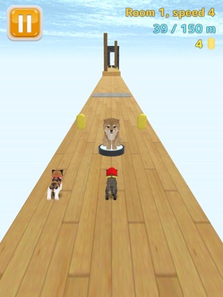 Cat Run - kitten running game screenshot