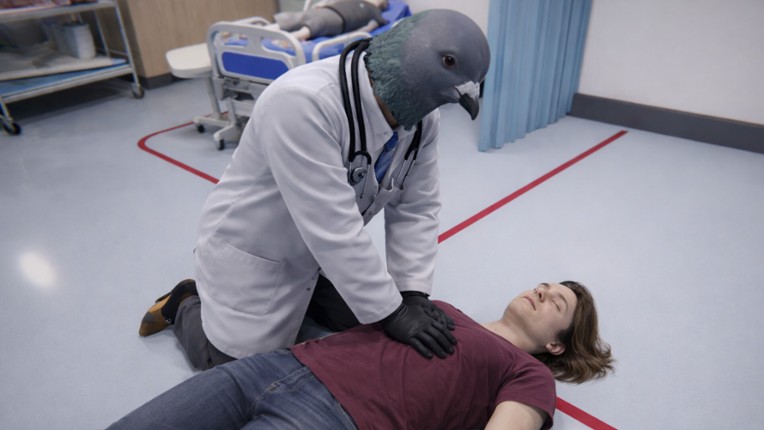 Doctor Pigeon Simulator Image
