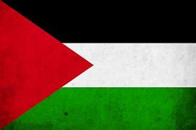 Palestine against Israel Image