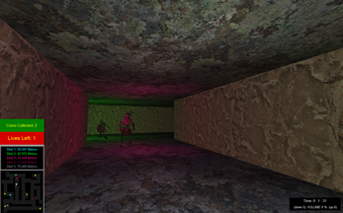 Skel Maze Image