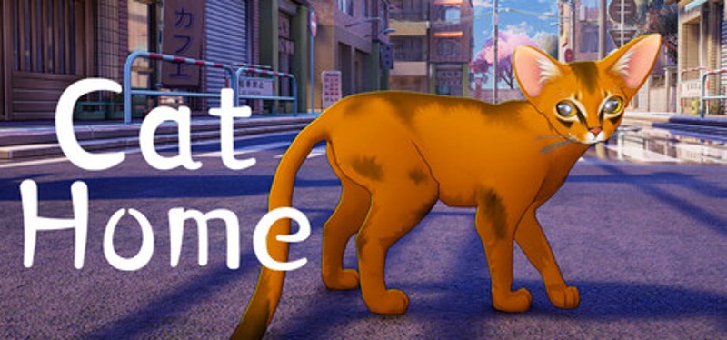 Cat Home Image