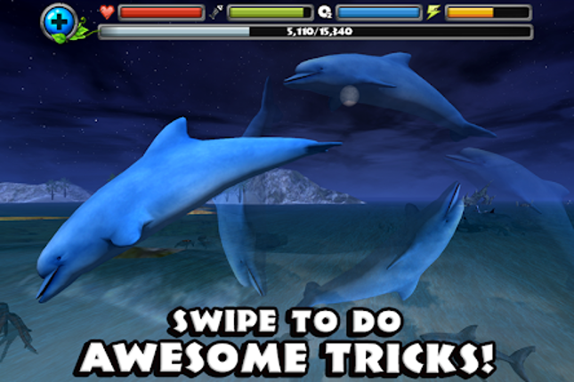 Dolphin Simulator screenshot