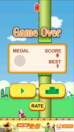 Hoppy Pig - The Adventure Road of 2 Tiny Bird Image