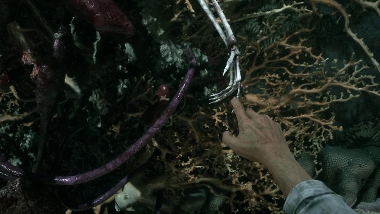 Sker: The Bleeding Veil Image