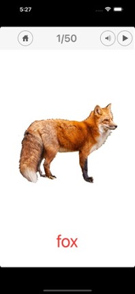 Animals Learning Cards screenshot