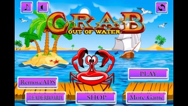 Crab Out of Water Image