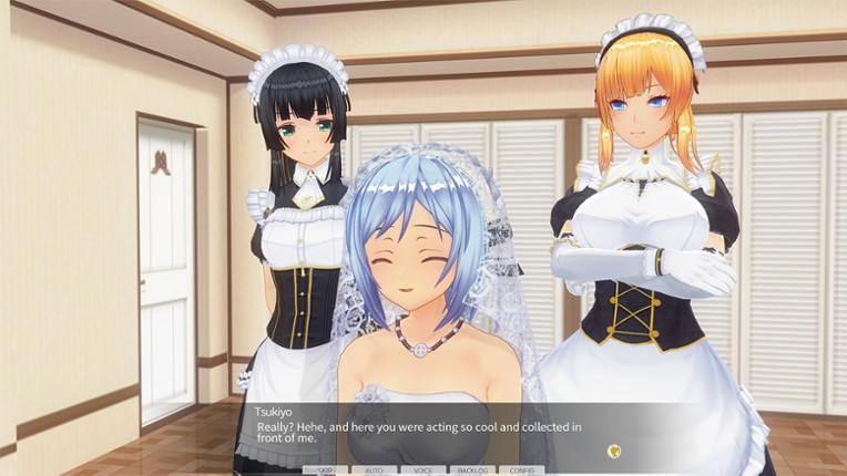 Custom Order Maid 3D 2: Kuudere ~Cool and Mature~ GP-02 Image