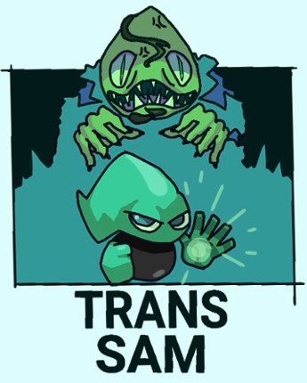 Trans-SAM Image