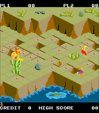 Jack Rabbit Image