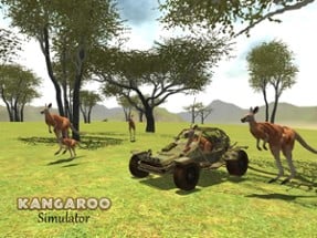 Kangaroo Simulator Image