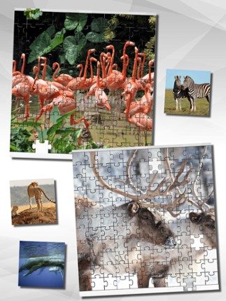 Animal Puzzle Game HD screenshot