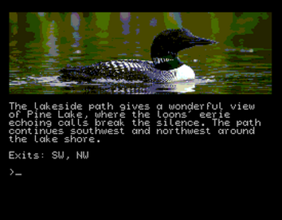 Finding Evan screenshot