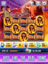 Gray Wolf Peak Casino Slots Image