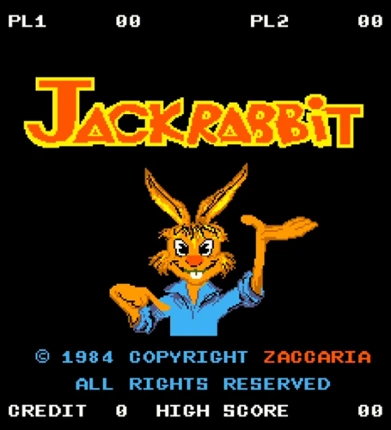 Jack Rabbit Image
