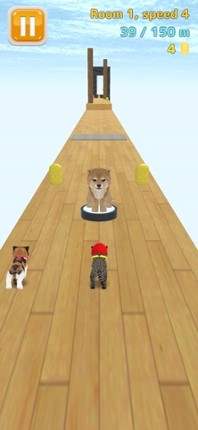 Cat Run - kitten running game screenshot