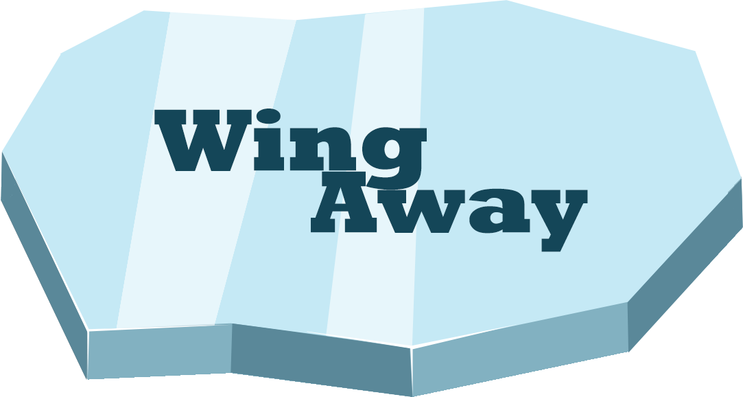 Games like Wing Away