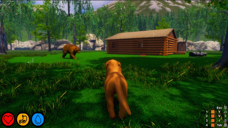 Lost Paws screenshot