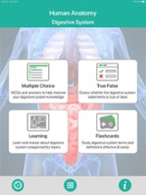 Anatomy : Digestive System Image