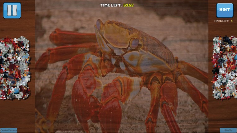 Bepuzzled Jigsaw Puzzle: Aquatic screenshot