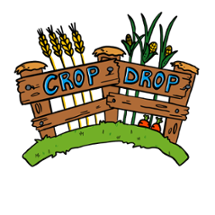 Crop Drop Image