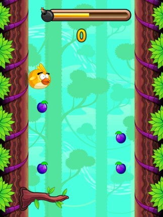 Jolly Chick Jump Jam Image