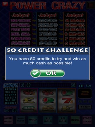 Power Crazy Fruit Machine Game screenshot