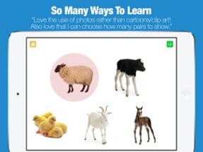 Preschool Games - Farm Animals by Photo Touch Image