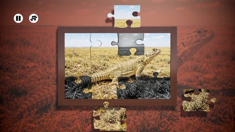 Puzzles Reptiles Image