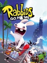 Rabbids Go Home Image