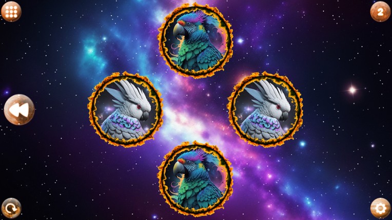 Space Memory: Parrots screenshot