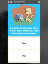 Speez - Les chats Image