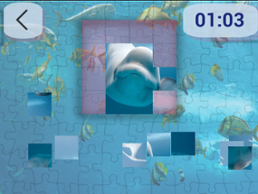 Ultimate Puzzles Marine Life 2 Image