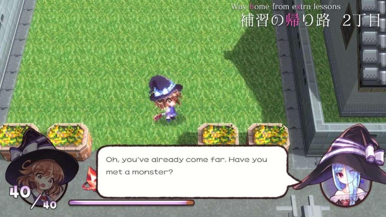 A Magical High School Girl Image