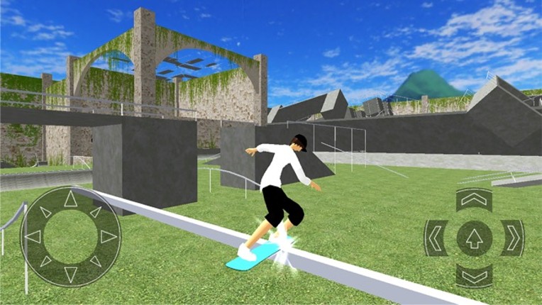 Board Skate screenshot