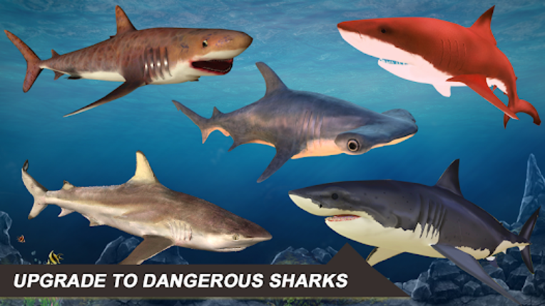 Shark Attack Sim: Hunting Game screenshot