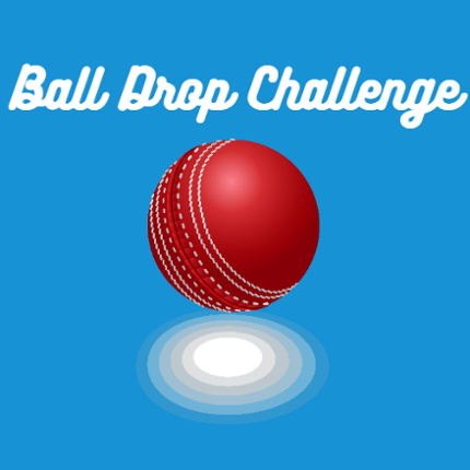 Ball Drop Challenge Game Cover