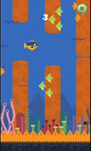 Jump Fish Image