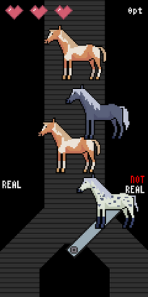REAL HORSE OR NOT REAL HORSE Image