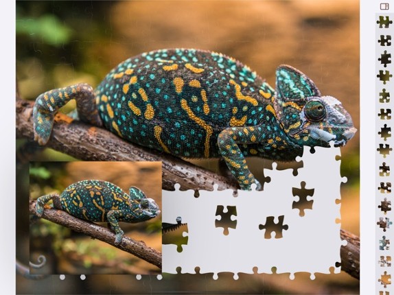 Jigsaw Puzzles Animals Image