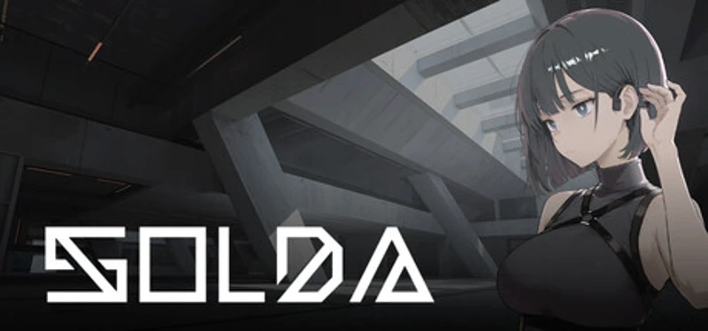 SOLDA Image