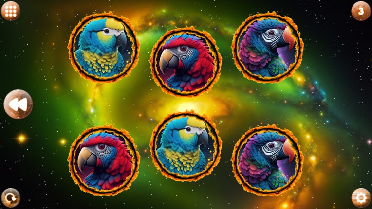 Space Memory: Parrots screenshot