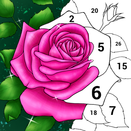 Casual Color - Color by Number Image