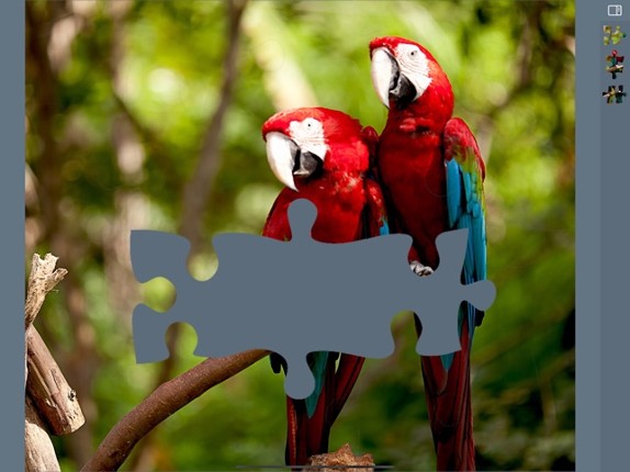 Jigsaw Puzzles Animals screenshot