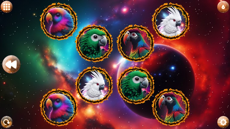 Space Memory: Parrots screenshot