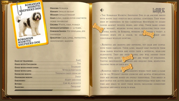 Tails in Pairs Image