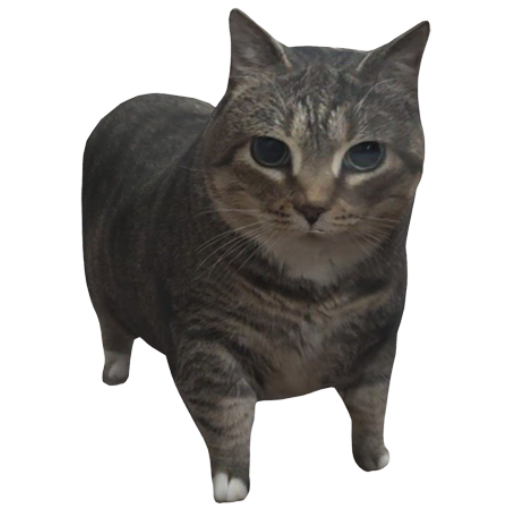Games like The Spinning Cat