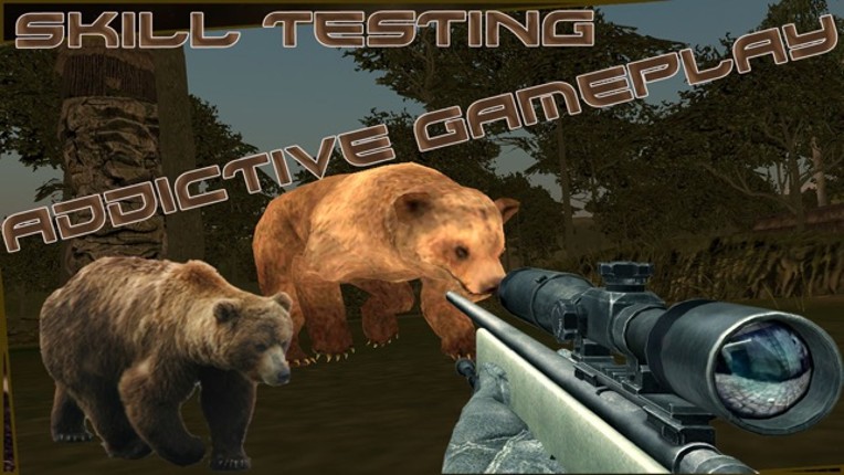 Wild Bear Hunter 2016 : Jungle Beast Hunting Simulation 3d : full fun free game Image
