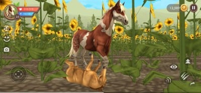 WildCraft: Wild Sim Online Image