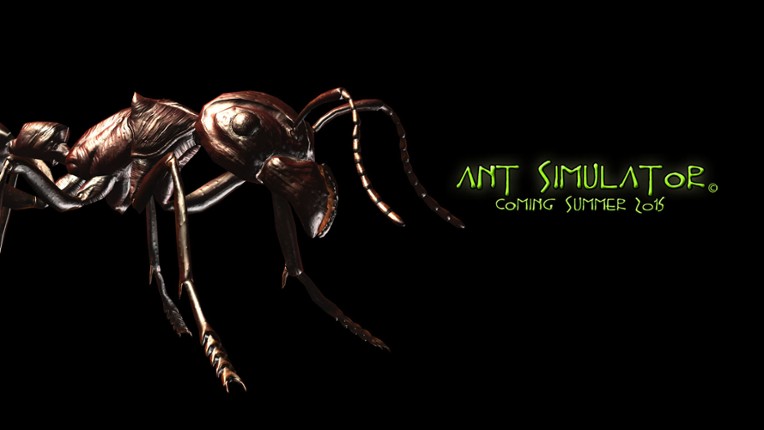 Ant Simulator Image
