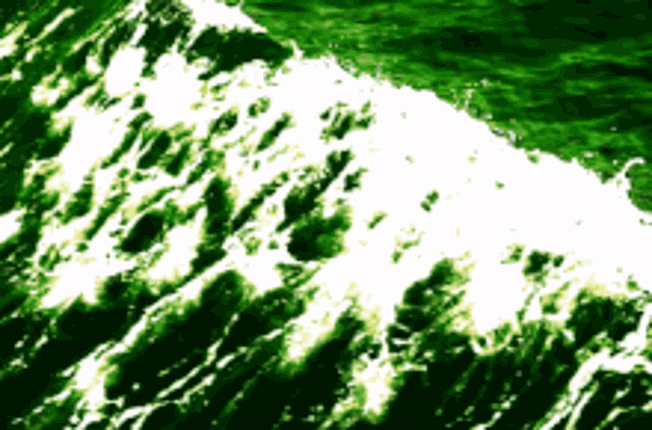 Project Wave Image